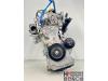 Engine from a Renault Clio V (RJAB), 2019 1.0 TCe 100 12V, Hatchback, 4-dr, Petrol, 999cc, 74kW (101pk), FWD, H4D450; H4DB4; H4D452; H4D460; H4DF4; H4D472, 2019-06, RJABE2MT 2020
