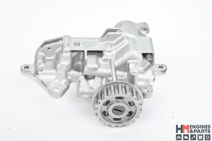 Neue Ölpumpe Ford Transit Custom 2.0 TDCi 16V Eco Blue 105 Preis € 151,25 Mit Mehrwertsteuer angeboten von HM Engines & Parts