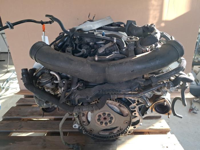 Usagé Moteur Volkswagen Phaeton (3D) 4.2 V8 40V 4Motion Prix € 1.600,00 Règlement à la marge proposé par VW Parts Dronten