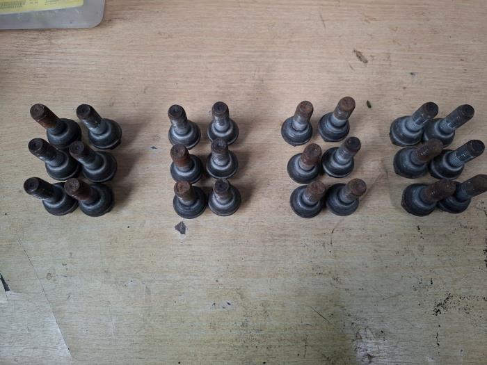 Gebrauchte Radmuttern Set Volkswagen Crafter 2.0 TDI 16V Preis € 40,00 Margenregelung angeboten von VW Parts Dronten