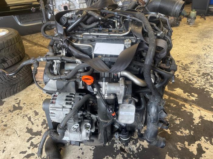 Used Engine Volkswagen Polo V (6R) 1.6 TDI 16V 90 Price € 1.250,00 Margin scheme offered by VW Parts Dronten