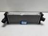 Intercooler from a Ford Transit, 2013 2.0 TDCi 16V Eco Blue mHEV 130, Delivery, Electric Diesel, 1.995cc, 96kW (131pk), FWD, BKFD; BKFC, 2019-05 2021
