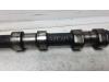 Camshaft from a BMW 5 serie (E39) 530d 24V 2000