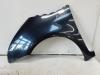 Front wing, left from a Citroen C4 Grand Picasso (UA), 2006 / 2013 1.6 HDiF 16V 110, MPV, Diesel, 1.560cc, 80kW (109pk), FWD, DV6TED4; 9HY; 9HZ, 2006-10 / 2011-06, UA9HY; UA9HZ 2008