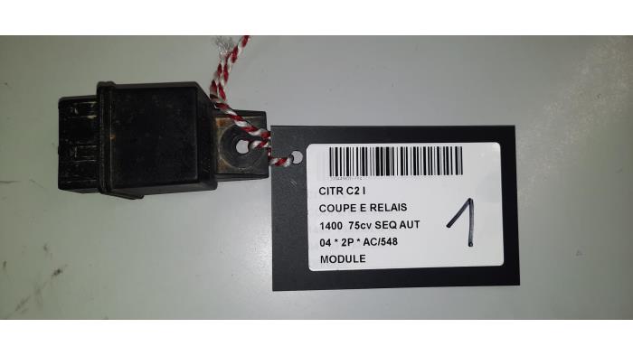 Używane Modul (rózne) Citroen C2 Cena € 15,00 Z VAT oferowane przez Collignon & Fils