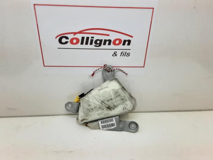 Door airbag