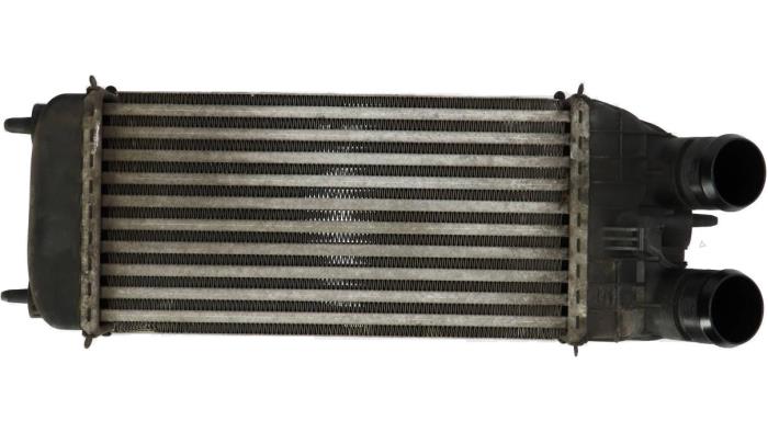Usados Intercooler Citroen DS3 Precio € 51,75 Norma de margen ofrecido por Bart Ebben