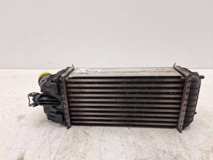 Usados Intercooler Citroen DS3 Precio € 51,75 Norma de margen ofrecido por Bart Ebben