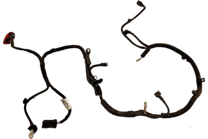 Gebrauchte Stecker Peugeot 208 Preis € 57,50 Margenregelung angeboten von Bart Ebben