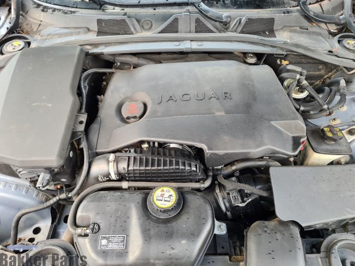 Used Engine Jaguar XF (CC9) 2.7 D V6 24V Price € 2.450,00 Margin scheme offered by Bakker Parts