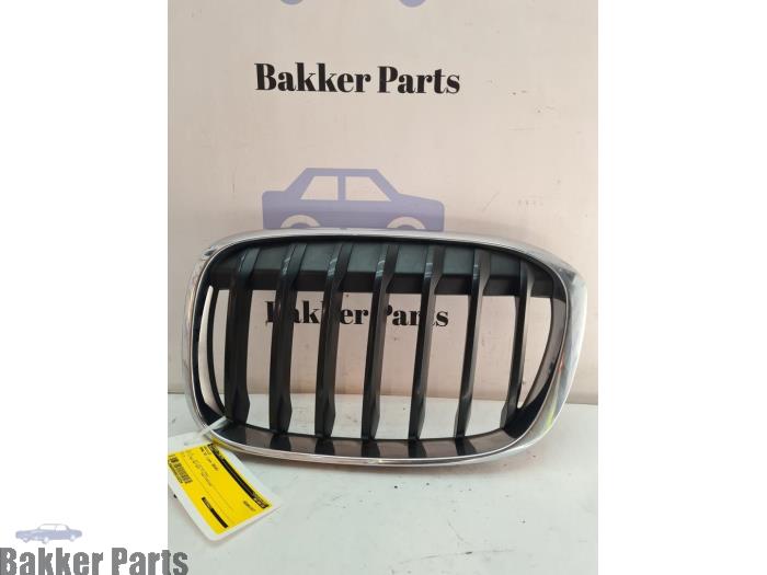 Używane Grill BMW X1 (F48) sDrive 20i 2.0 16V Twin Power Turbo Cena € 45,00 Procedura marży oferowane przez Bakker Parts