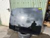 Land Rover Range Rover Evoque (LVJ/LVS) 2.2 eD4 16V 5-drs. Panoramadach