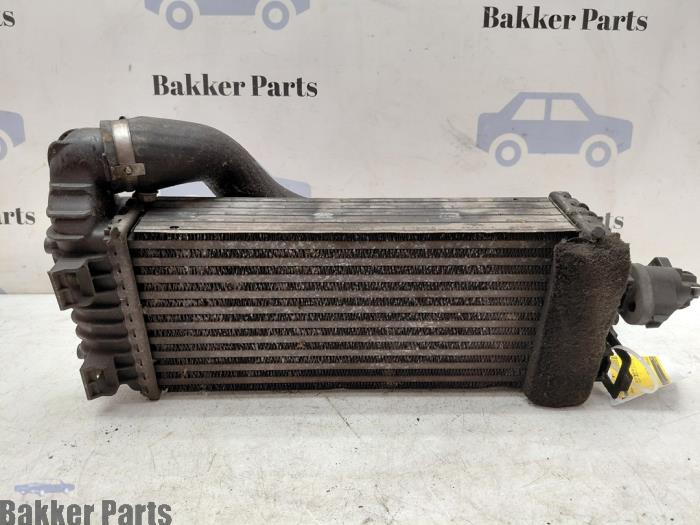 Usagé Intercooler Ford Transit Connect (PJ2) 1.6 TDCi 16V 95 Prix € 50,00 Règlement à la marge proposé par Bakker Parts
