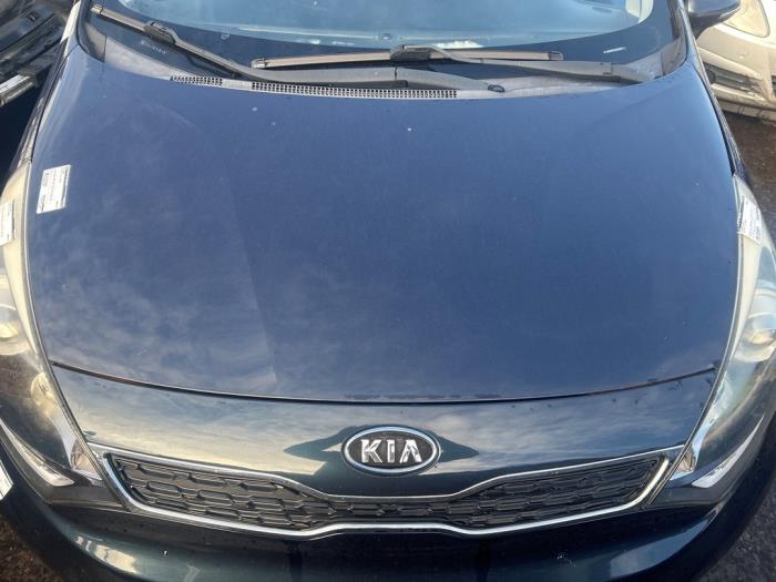 Używane Maska Kia Rio III (UB) 1.2 CVVT 16V Cena € 149,99 Procedura marży oferowane przez JCR Janssen Car Recycling