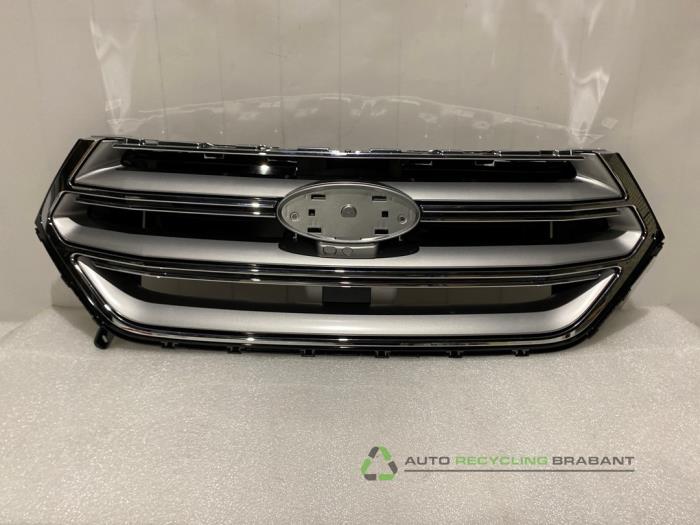 Używane Grill Ford Edge Cena € 400,00 Z VAT oferowane przez Auto Recycling Brabant