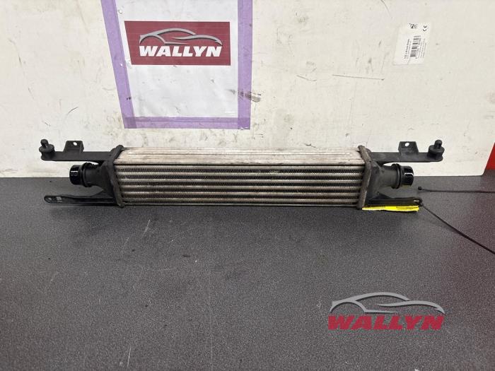 Usagé Intercooler Opel Corsa D 1.3 CDTi 16V ecoFLEX Prix € 30,25 Prix TTC proposé par Wallyn COMMV