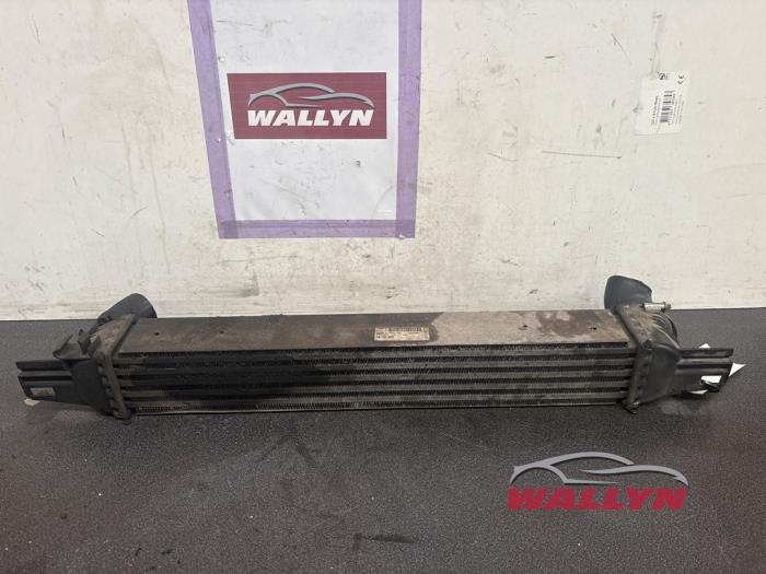 Usados Intercooler Citroen Nemo (AA) 1.4 HDi 70 Precio € 24,20 IVA incluido ofrecido por Wallyn COMMV