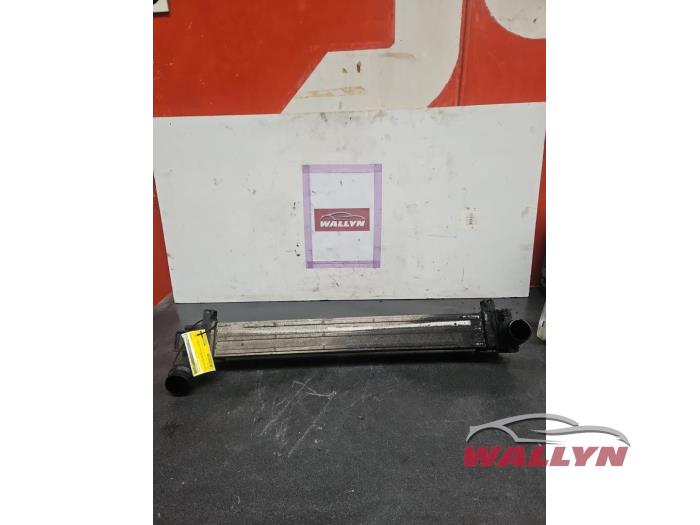 Usagé Intercooler Renault Megane III Berline (BZ) 1.5 dCi 110 Prix € 36,30 Prix TTC proposé par Wallyn COMMV