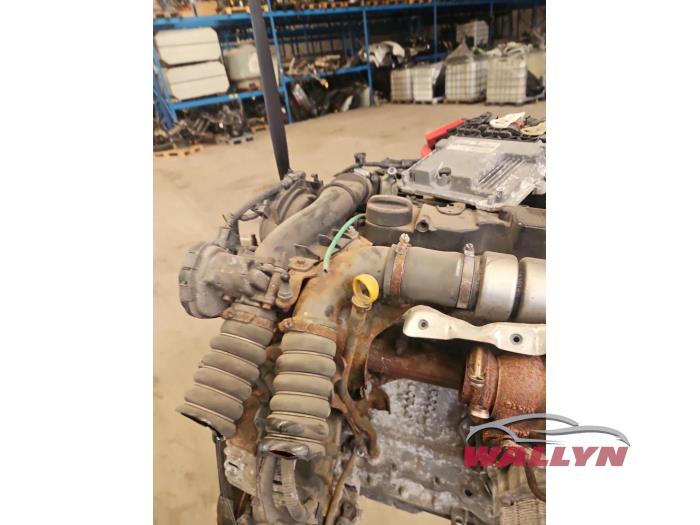Motor van een Ford Fiesta 6 (JA8) 1.5 TDCi 2014
