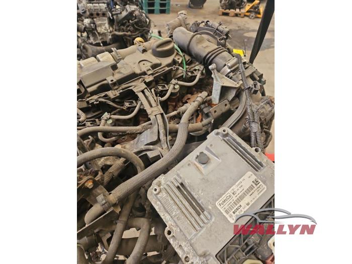 Motor van een Ford Fiesta 6 (JA8) 1.5 TDCi 2014