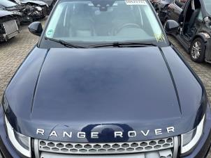 Grill från en Land Rover Range Rover Evoque (LVJ/LVS) 2.0 D 150 16V 2017