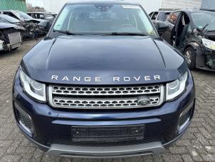 Grill från en Land Rover Range Rover Evoque (LVJ/LVS) 2.0 D 150 16V 2017