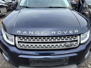 Grill från en Land Rover Range Rover Evoque (LVJ/LVS) 2.0 D 150 16V 2017