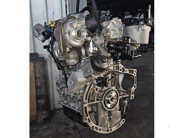 Overhauled Engine Ford Focus Price € 2.420,00 Inclusive VAT offered by AKAS Automaterialen