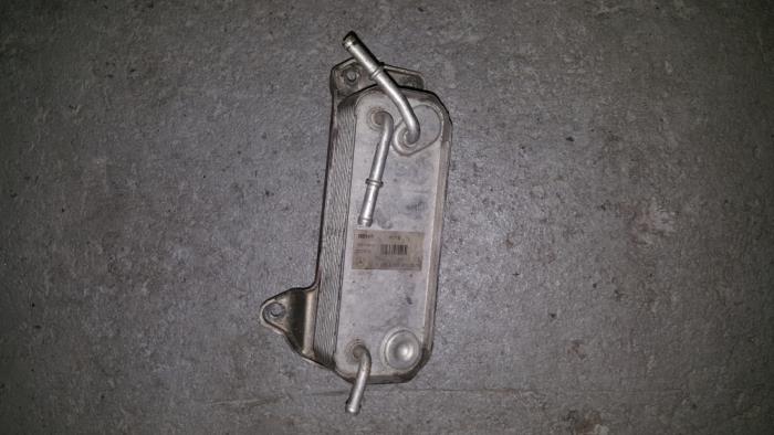 Usagé Refroidisseur de carburant Citroen BX Prix € 48,40 Prix TTC proposé par AKAS Automaterialen (acceptatie)
