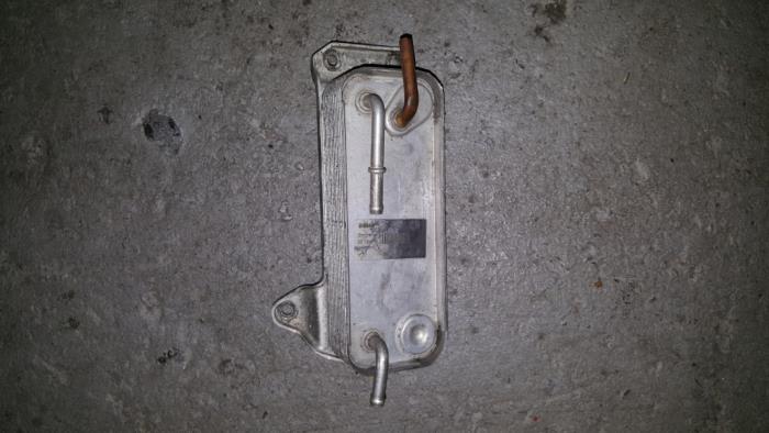 Usagé Refroidisseur de carburant Citroen BX Prix € 48,40 Prix TTC proposé par AKAS Automaterialen (acceptatie)