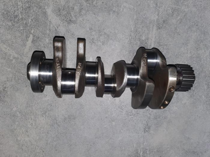 Gebrauchte Kurbelwelle Citroen BX Preis € 121,00 Mit Mehrwertsteuer angeboten von AKAS Automaterialen (acceptatie)