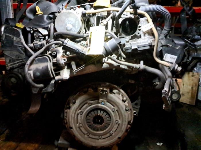 Used Engine Fiat Bravo (198A) 1.6 JTD Multijet 105 Price € 605,00 Inclusive VAT offered by De Jonghe Recuparts