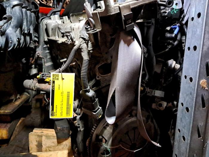 Gebrauchte Motor Fiat Punto Evo (199) 1.4 Preis € 484,00 Mit Mehrwertsteuer angeboten von De Jonghe Recuparts