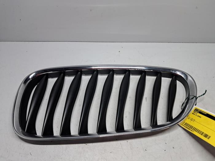 Używane Grill BMW Z4 Roadster (E85) Cena € 24,20 Z VAT oferowane przez De Jonghe Recuparts