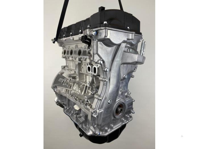 Neue Motor Kia Sportage (SL) 2.0 CVVT 16V 4x2 Preis € 2.413,95 Mit Mehrwertsteuer angeboten von V-Trade Recycling