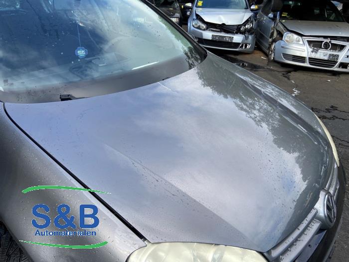 Volkswagen Golf V 1.6 FSI 16V Skrotfordon (2006, GRIJS)