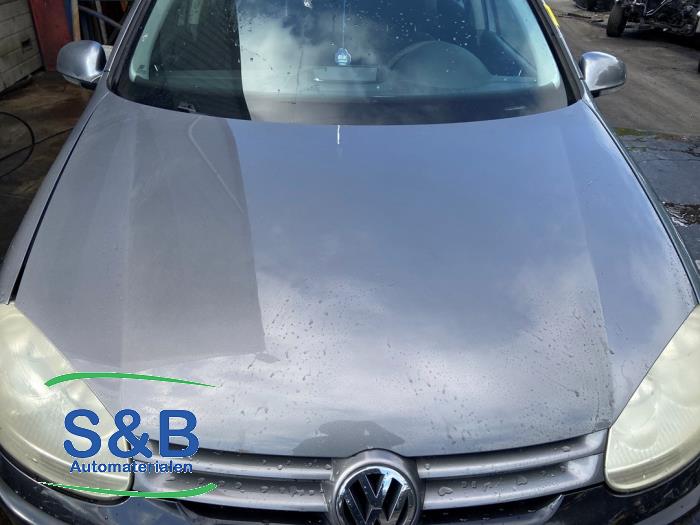 Volkswagen Golf V 1.6 FSI 16V Skrotfordon (2006, GRIJS)