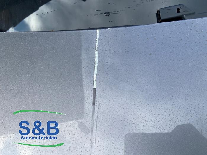 Volkswagen Golf V 1.6 FSI 16V Skrotfordon (2006, GRIJS)