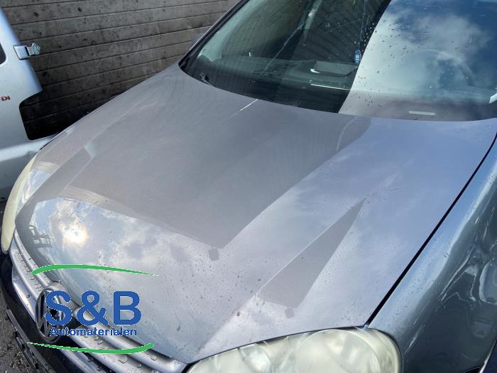 Volkswagen Golf V 1.6 FSI 16V Skrotfordon (2006, GRIJS)