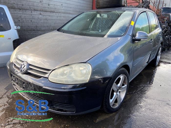Volkswagen Golf V 1.6 FSI 16V Skrotfordon (2006, GRIJS)