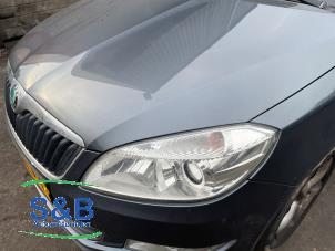 Skoda Fabia II Combi 1.2 TDI 12V Greenline Vehículo de desguace (2010, Gris, Azul)