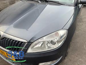 Skoda Fabia II Combi 1.2 TDI 12V Greenline Vehículo de desguace (2010, Gris, Azul)