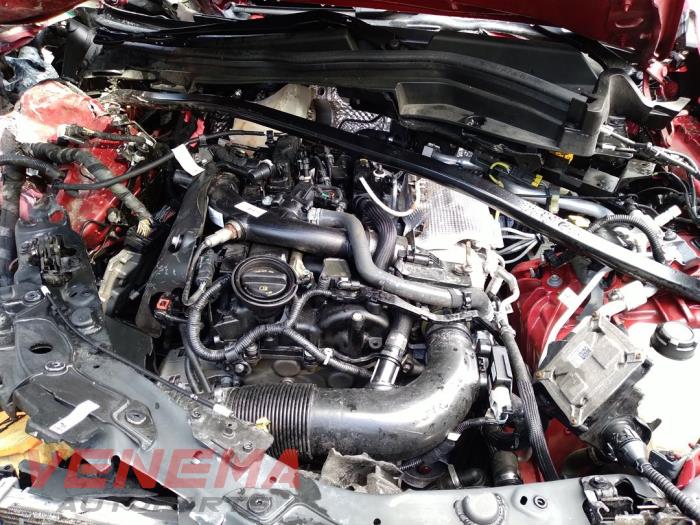 Alfa Romeo Stelvio 2.0 T 16V Q4 Samochód złomowany (2022, Czerwony)