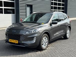 Ford Kuga III 1.5 EcoBoost 12V 120  (Damaged)