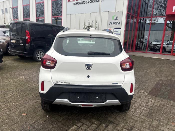 Dacia Spring 45 Épave (2021, Blanc)