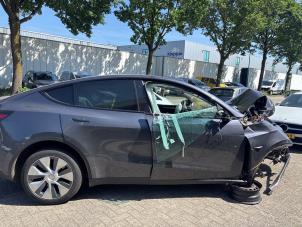 Tesla Model Y RWD Samochód złomowany (2023, Szary)