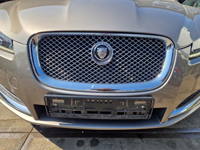 Jaguar XF 3.0 D V6 24V Vehículo de desguace (2012, Gris)