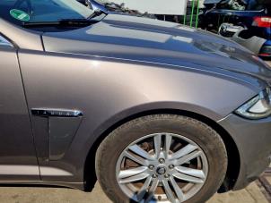 Jaguar XF 3.0 D V6 24V Vehículo de desguace (2012, Gris)