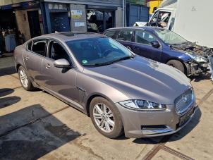 Jaguar XF 3.0 D V6 24V Vehículo de desguace (2012, Gris)