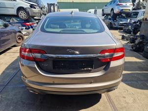 Jaguar XF 3.0 D V6 24V Vehículo de desguace (2012, Gris)